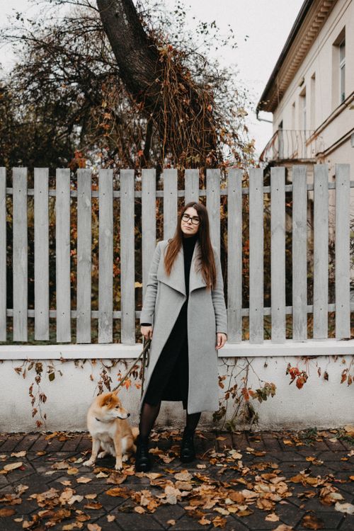 Free A woman in a gray coat walks a Shiba Inu dog on a leaf-strewn sidewalk in autumn. Stock Photo