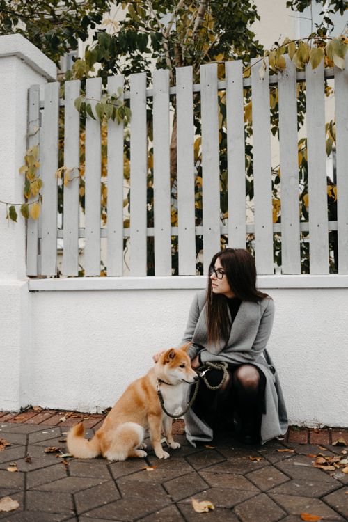 Free Woman sitting with Shiba Inu on a sidewalk in front of a picket fence during autumn. Stock Photo