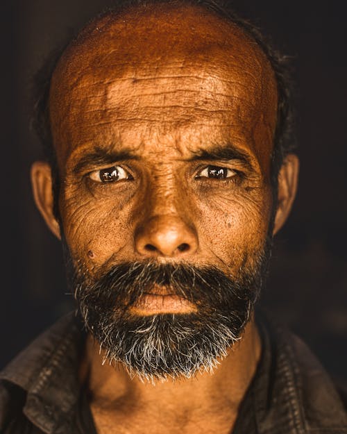 Free Portrait of Mature Man with Beard Stock Photo