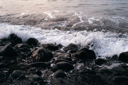 Gratis lagerfoto af bølger, hav, sprøjt Lagerfoto