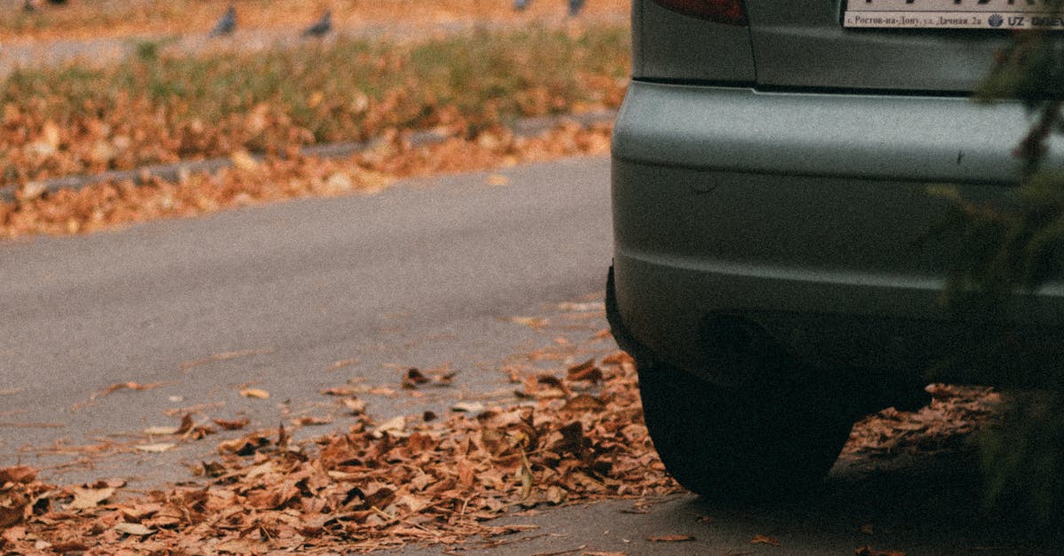 Profesyonel Araç Stüdyo Fotoğrafları