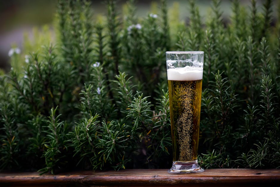 Vegan or Not: The Surprising Truth About Beer Ingredients