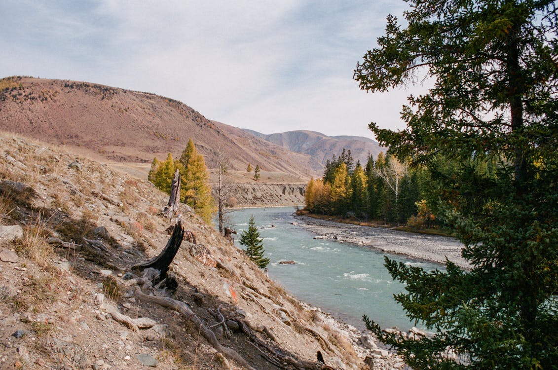 River Between Hills and Forest