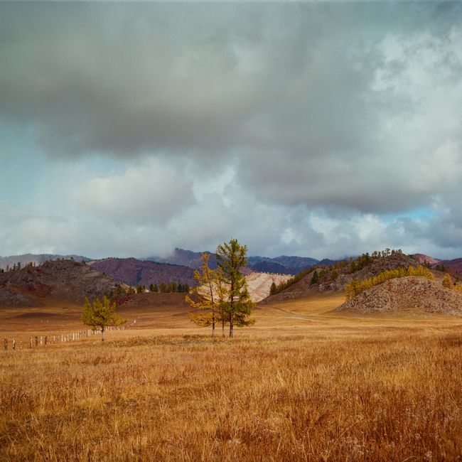 A wide shot of a grassy meadow with hills and clouds, capturing the beauty of nature in autumn.