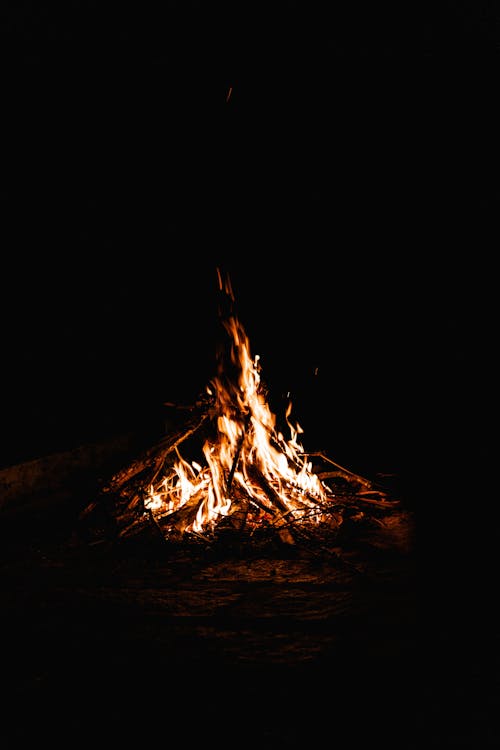 Free Burning Firewood on Dark Background Stock Photo