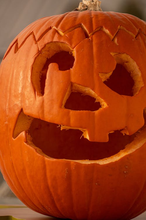 無料 かぼちゃ, ジャックランタン, デコレーションの無料の写真素材 写真素材