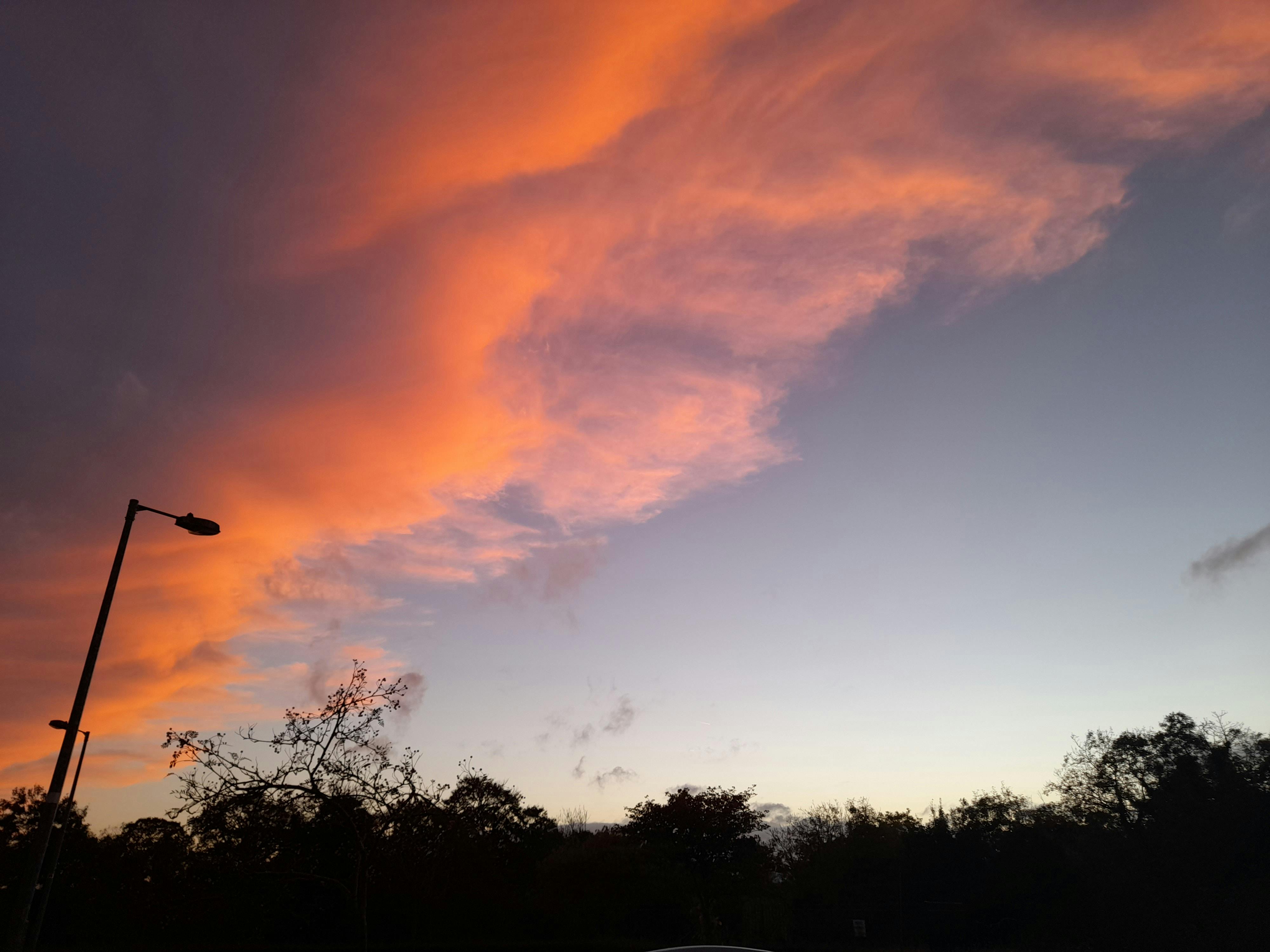 Cricket ground under lights during a high-pressure Test match