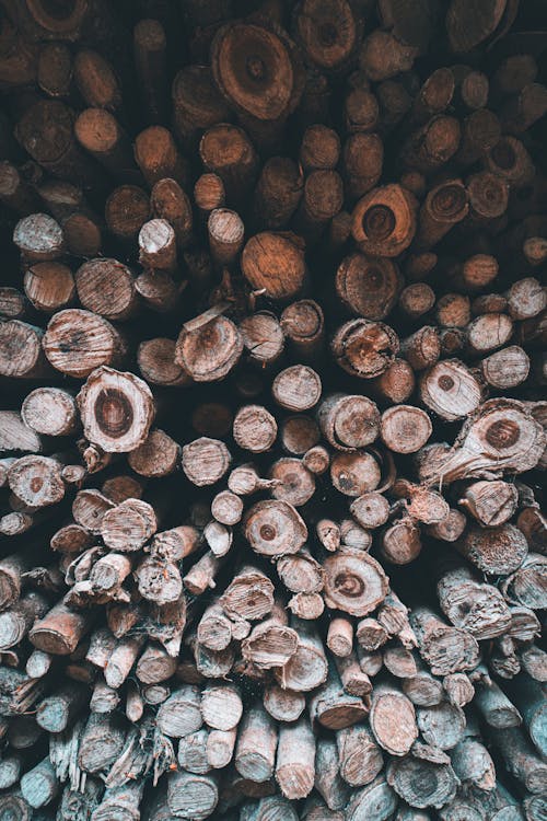 Gratis Immagine gratuita di legna da ardere, legno, pila Foto a disposizione