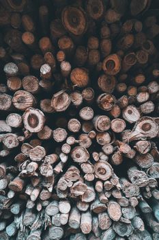 A vertically stacked collection of firewood logs offering a rustic and natural texture.
