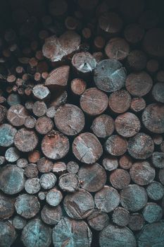Vertical close-up of arranged tree logs in a rustic, earthy tone.