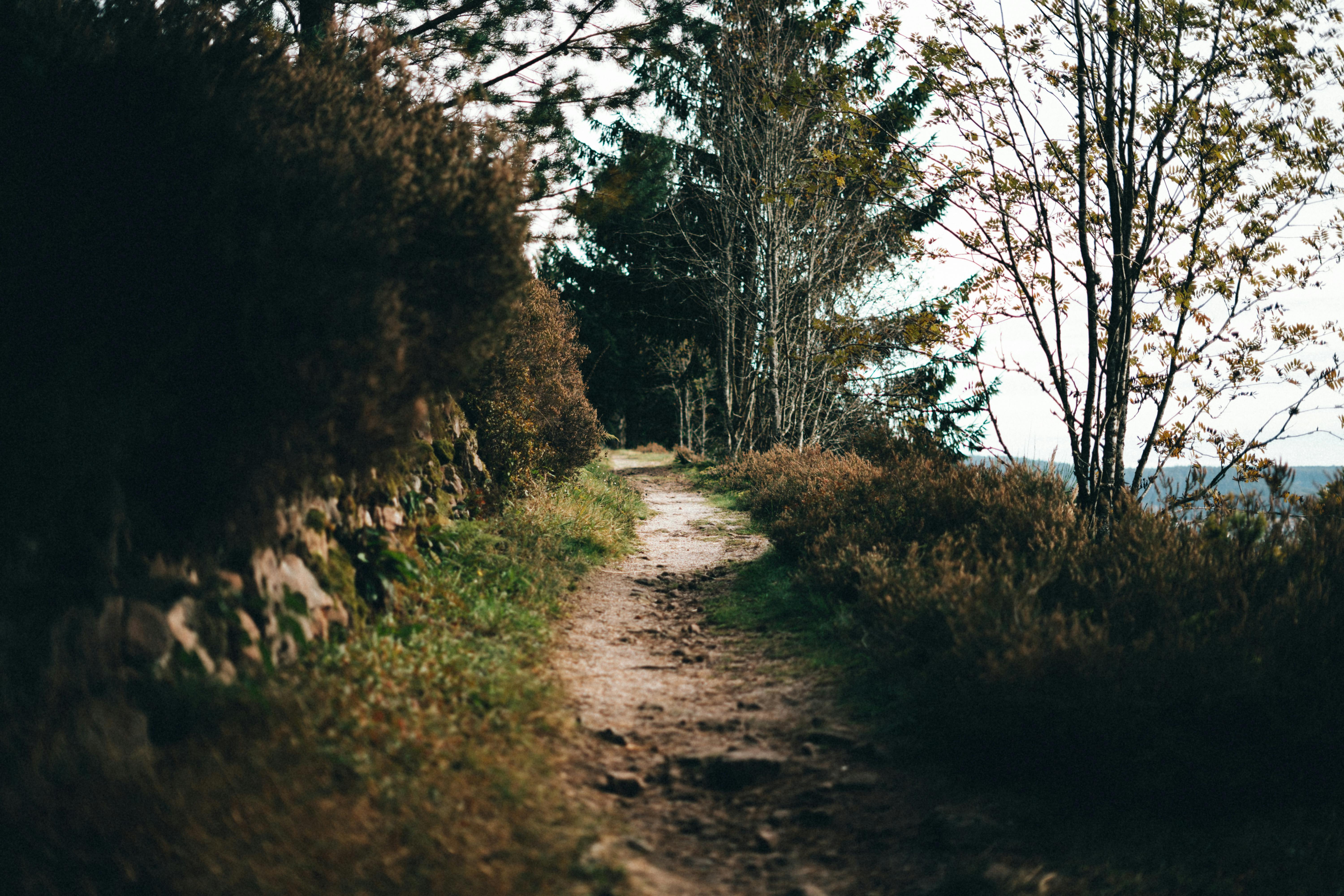 micro niche travel off‑the‑beaten‑path trips — Photo by Volker Thimm on Pexels