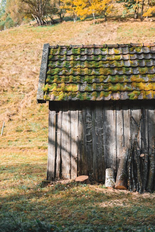 Foto profissional grátis de cabine, campo de grama, casa de madeira