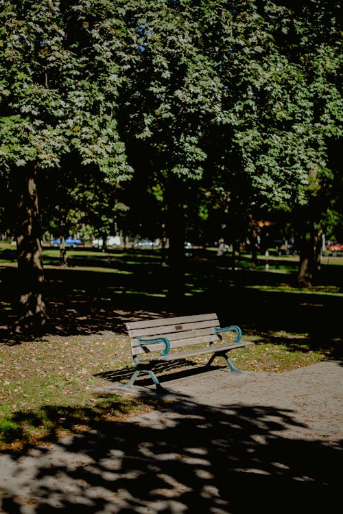 bezplatná Základová fotografie zdarma na téma lavička, park, sedadlo Základová fotografie