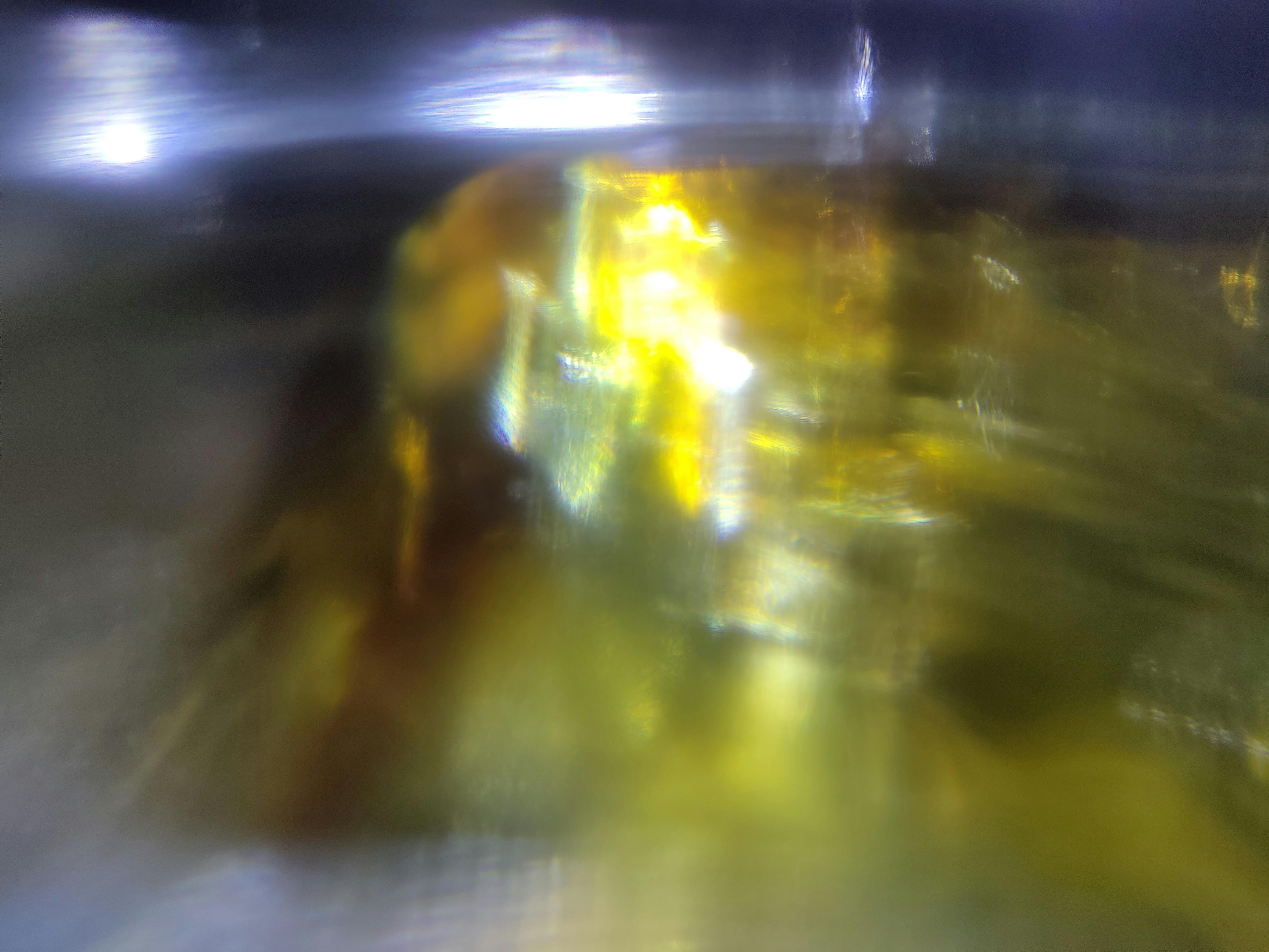 Cricket teammates celebrating a victory together