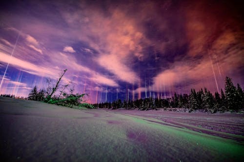 Ücretsiz Aurora borealis, fenomen, gökyüzü içeren Ücretsiz stok fotoğraf Stok Fotoğraflar