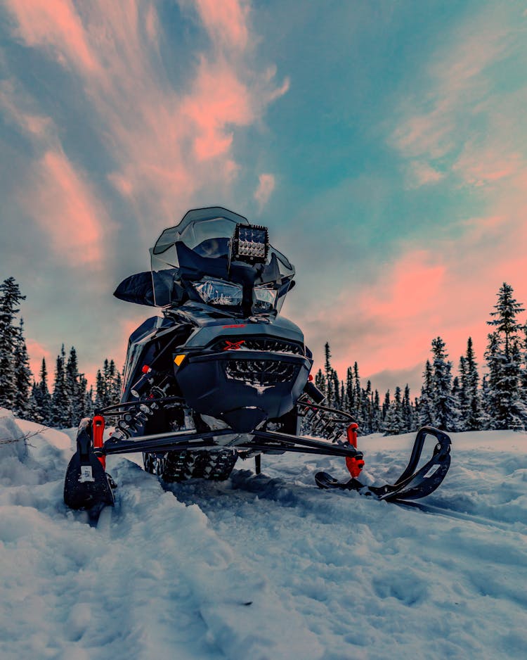 Snowmobile Parked In Forest