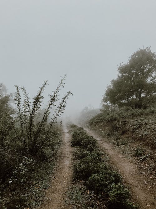 Empty Trail Under Gray Sky