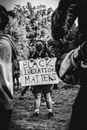 Free stock photo of administration, adult, beautiful black women