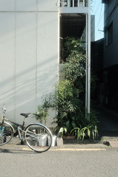 Free A serene urban scene with a bicycle and potted plants in a sunlight alleyway. Stock Photo