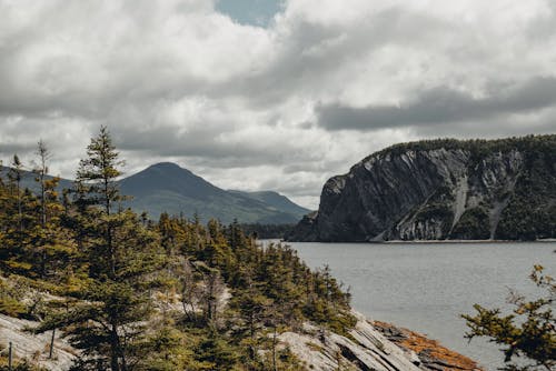 Rock Formation with Trees in Gros Morne National Park, Canada