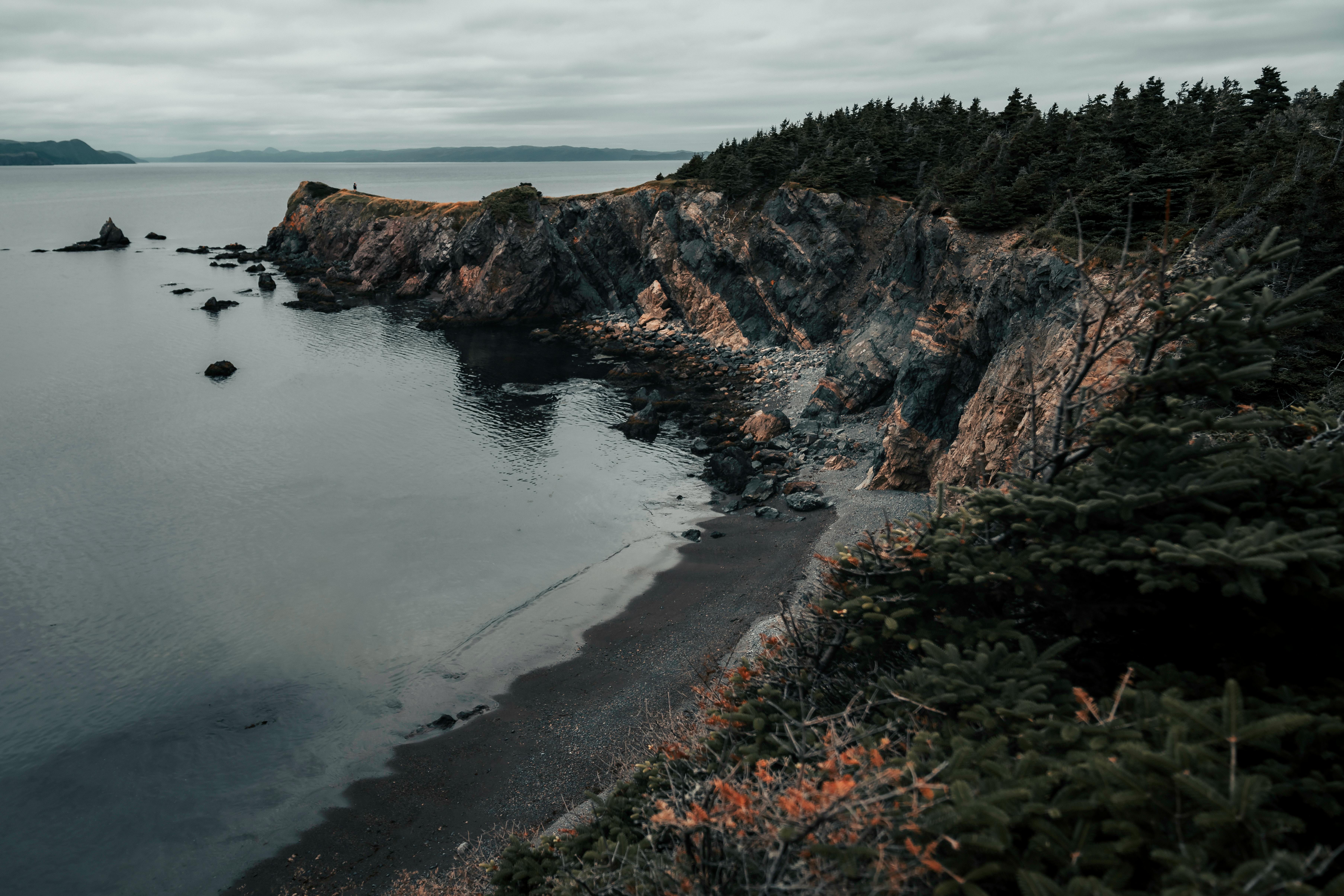 Explore the rugged beauty of Chance Cove's coastal cliffs and tranquil sea.