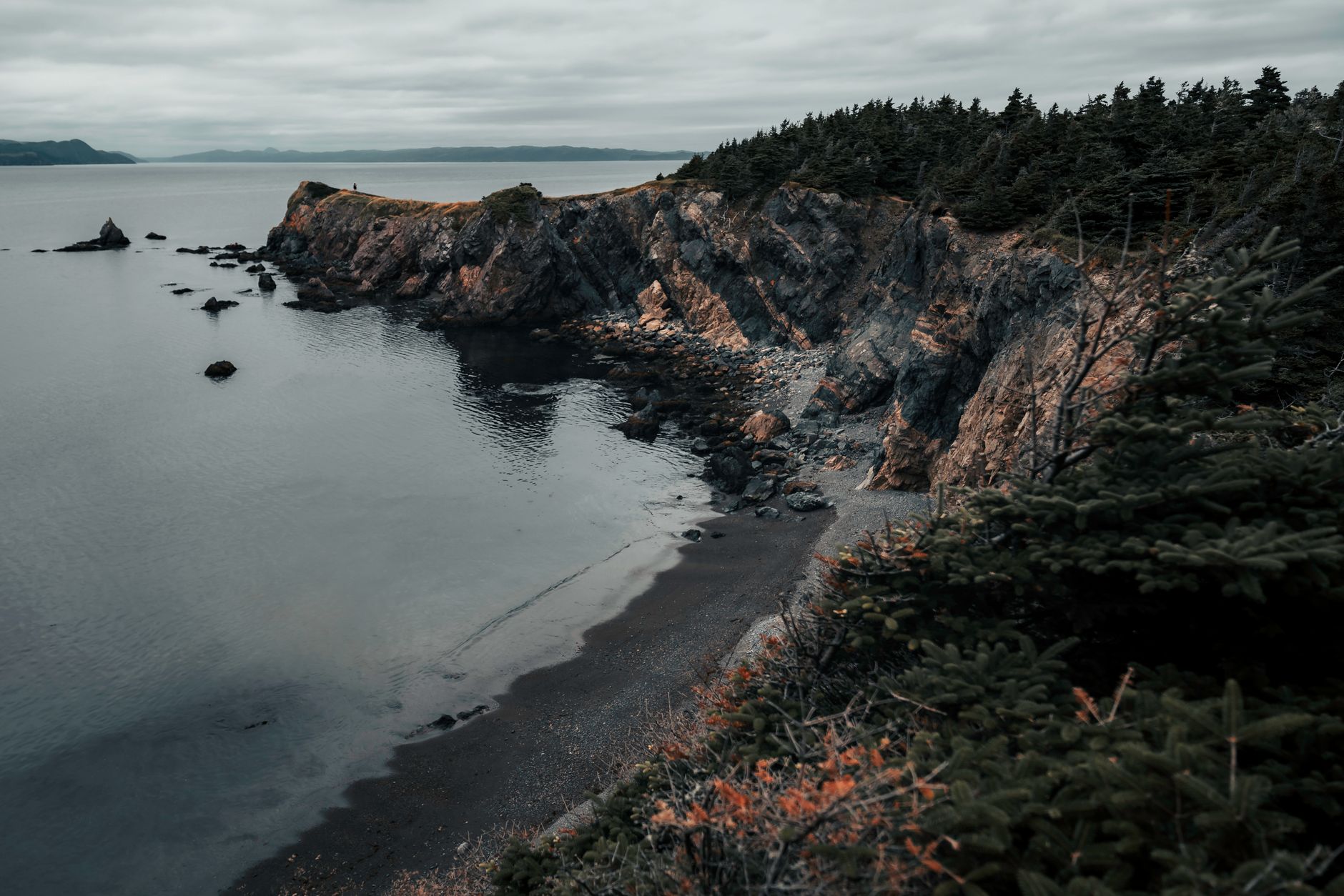 Explore the rugged beauty of Chance Cove's coastal cliffs and tranquil sea.