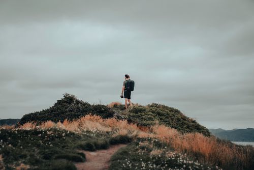 Free A man stands atop a hill in Chance Cove, NL, capturing nature's beauty. Stock Photo