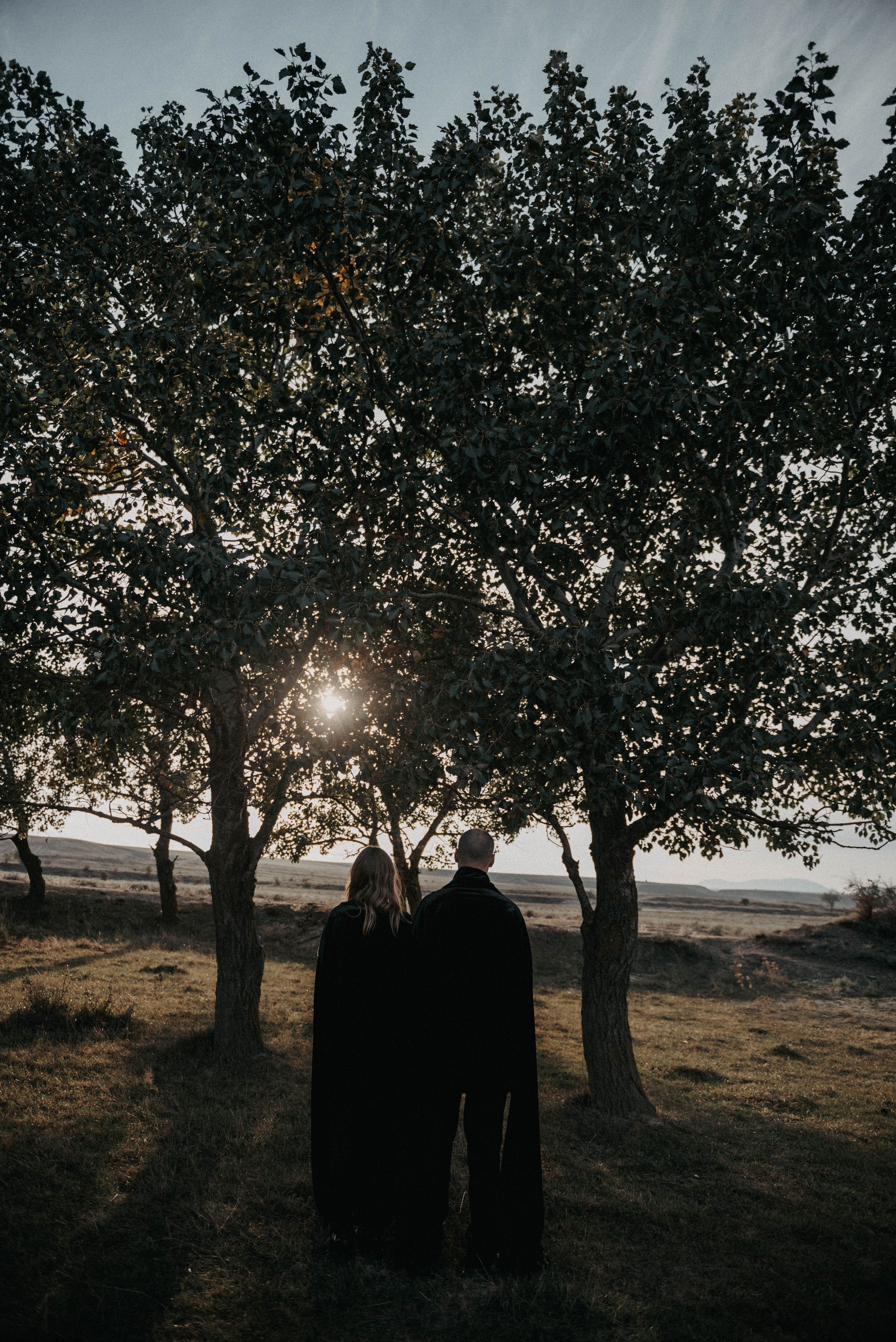 Man and Woman Standing in front of Trees · Free Stock Photo