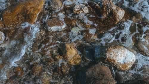 Free Close-up of rocky shoreline with bubbling water in Turkey. Stock Photo