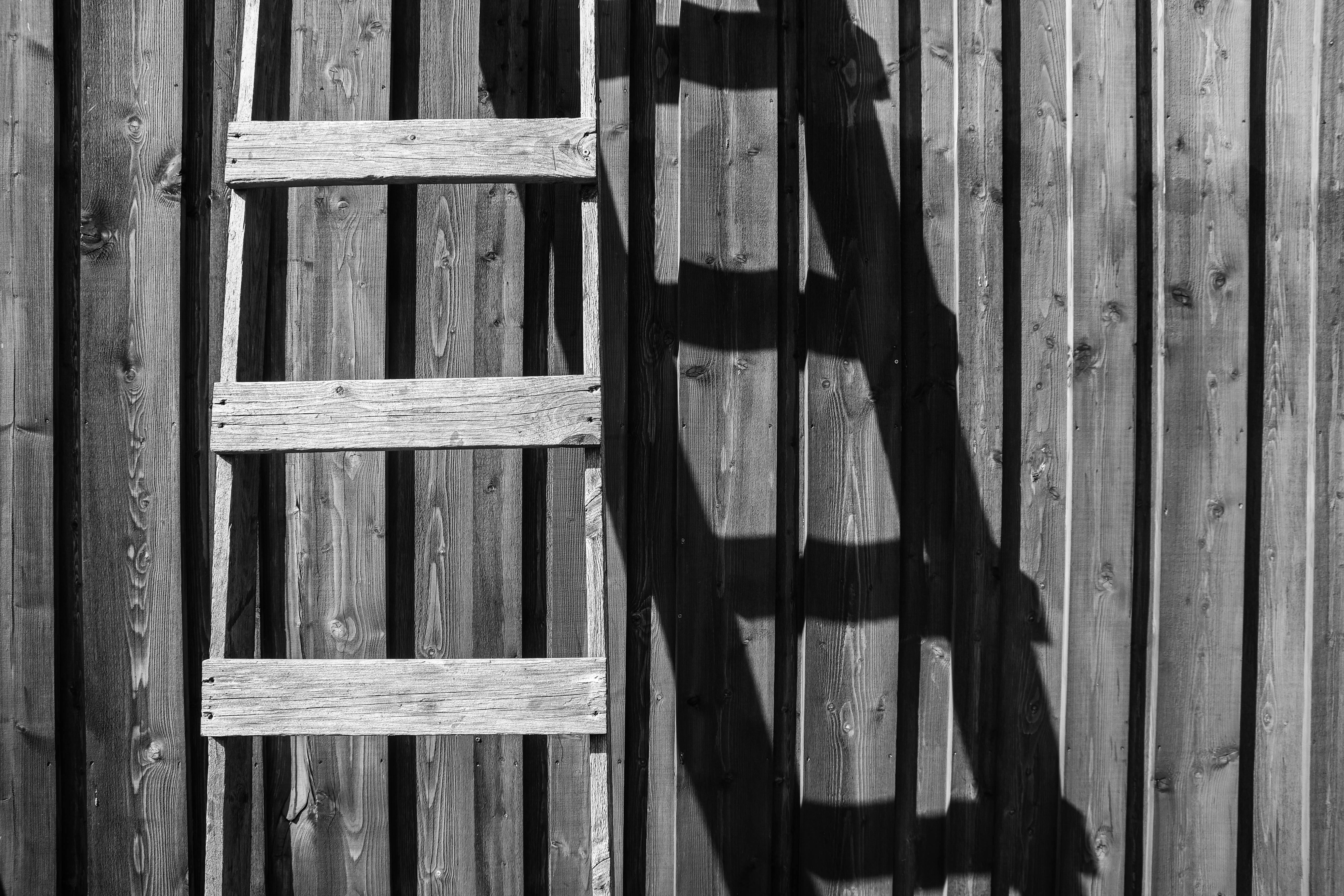 50+ Interesting Ladder Photos · Pexels · Free Stock Photos