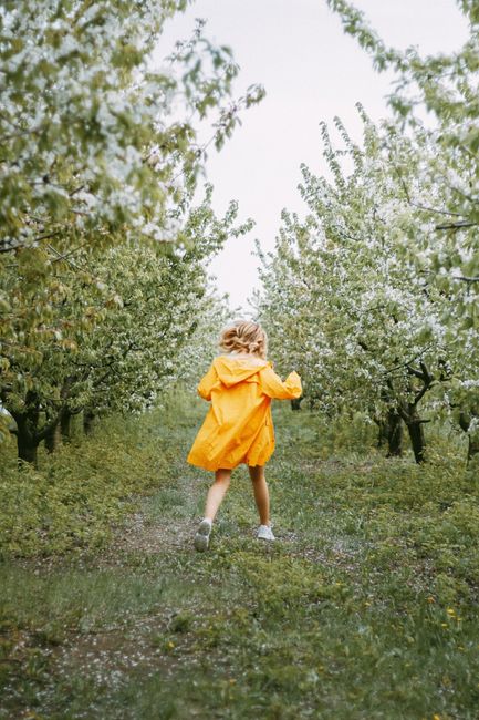 A woman in a yellow raincoat walks through a scenic orchard filled with blooming trees, capturing the essence of spring.