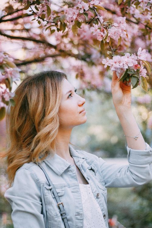 Free A woman in casual clothing admires pink blossoms in a serene orchard setting. Stock Photo