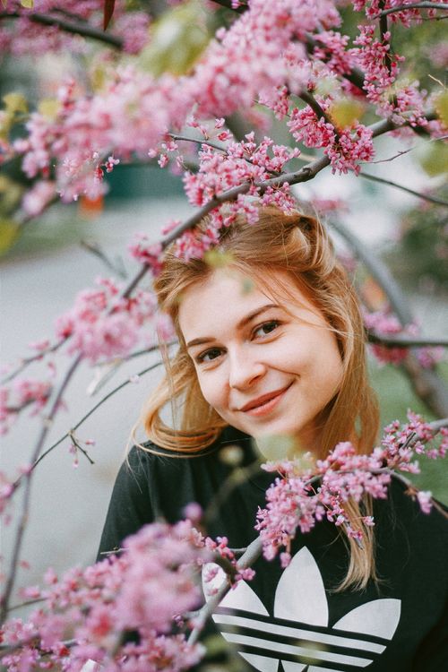 Free A cheerful woman with blond hair framed by blooming pink branches, capturing the essence of springtime in nature. Stock Photo
