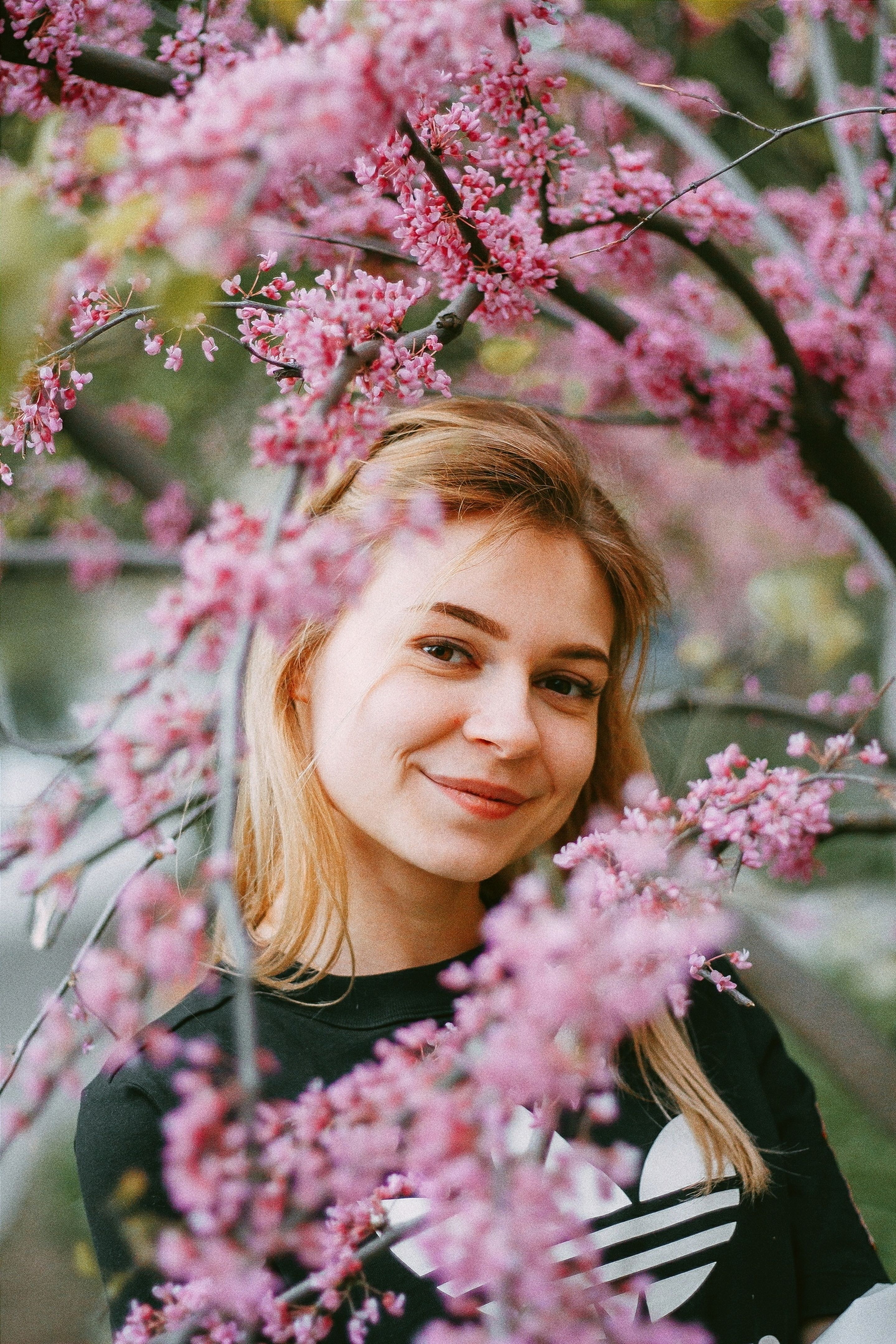 A woman with blond hair smiles surrounded by vibrant pink blossoms on a fruit tree, capturing the essence of spring.