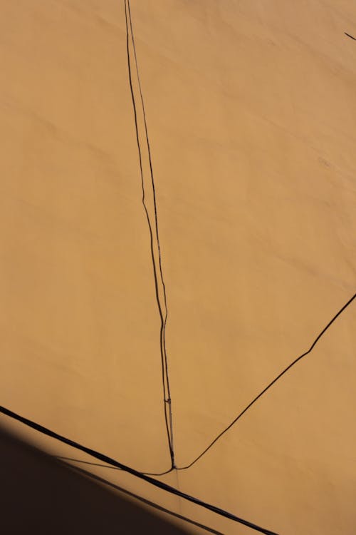 Бесплатное стоковое фото с бежевый фон, вертикальный выстрел, высокий угол обзора