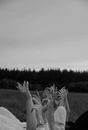 Many Unrecognized Female Hands Stretched Up and Gesturing