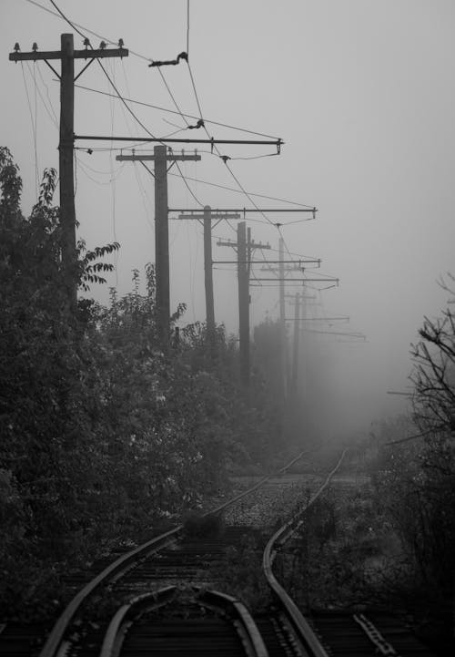 Grayscale Photo of Electric Posts