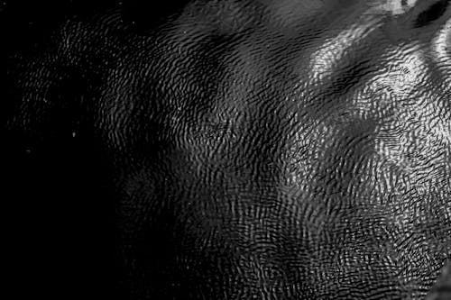 Foto profissional grátis de corpo d'água, couro, escala de cinza