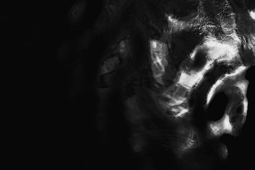 A captivating black and white abstract image featuring liquid-like reflections, creating an artistic and mysterious pattern.