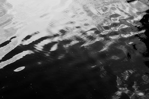 Monochrome Photograph of a Water