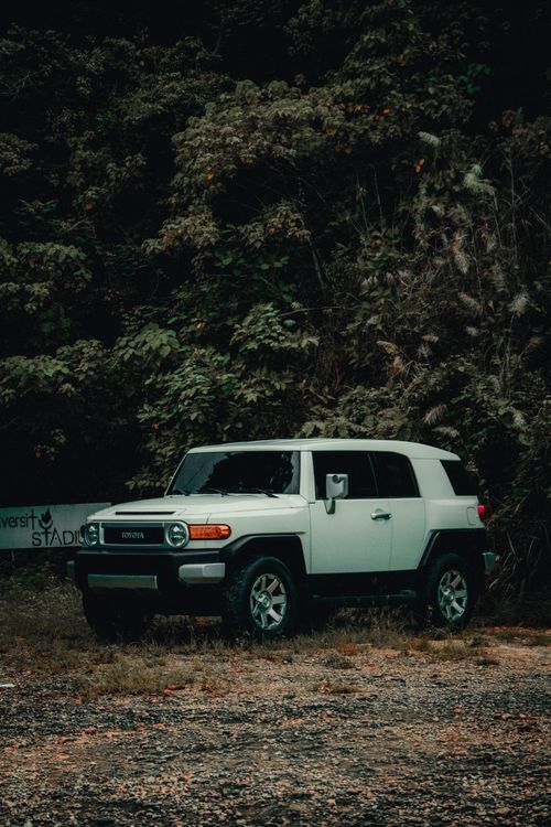 Free A white SUV parked amidst lush green trees and earthy surroundings, perfect for adventure and outdoor exploration. Stock Photo