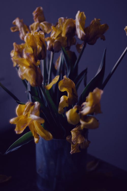 Yellow Flowers on a Clear Vase