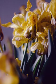 Image by Plato Terentev