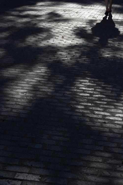 Shadows on Sidewalk