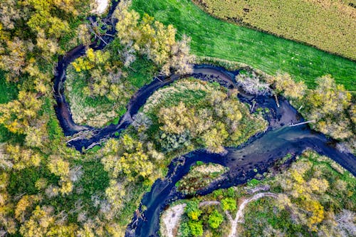 An Aerial Photography of a River Surrounded with Trees and Field