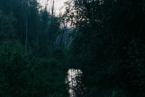 Free A tranquil, dark forest scene with a reflective lake under a gloomy sky, perfect for nature themes. Stock Photo