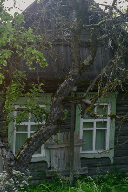 Old Wooden House 