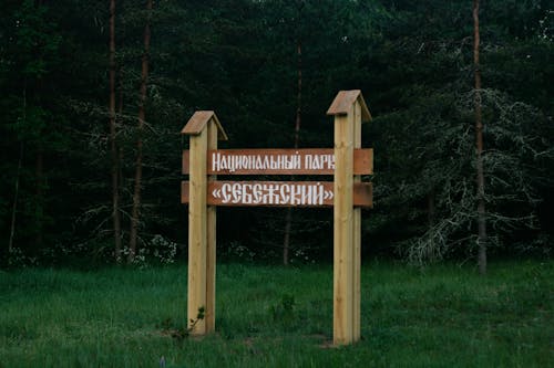 A Sign in a Forest