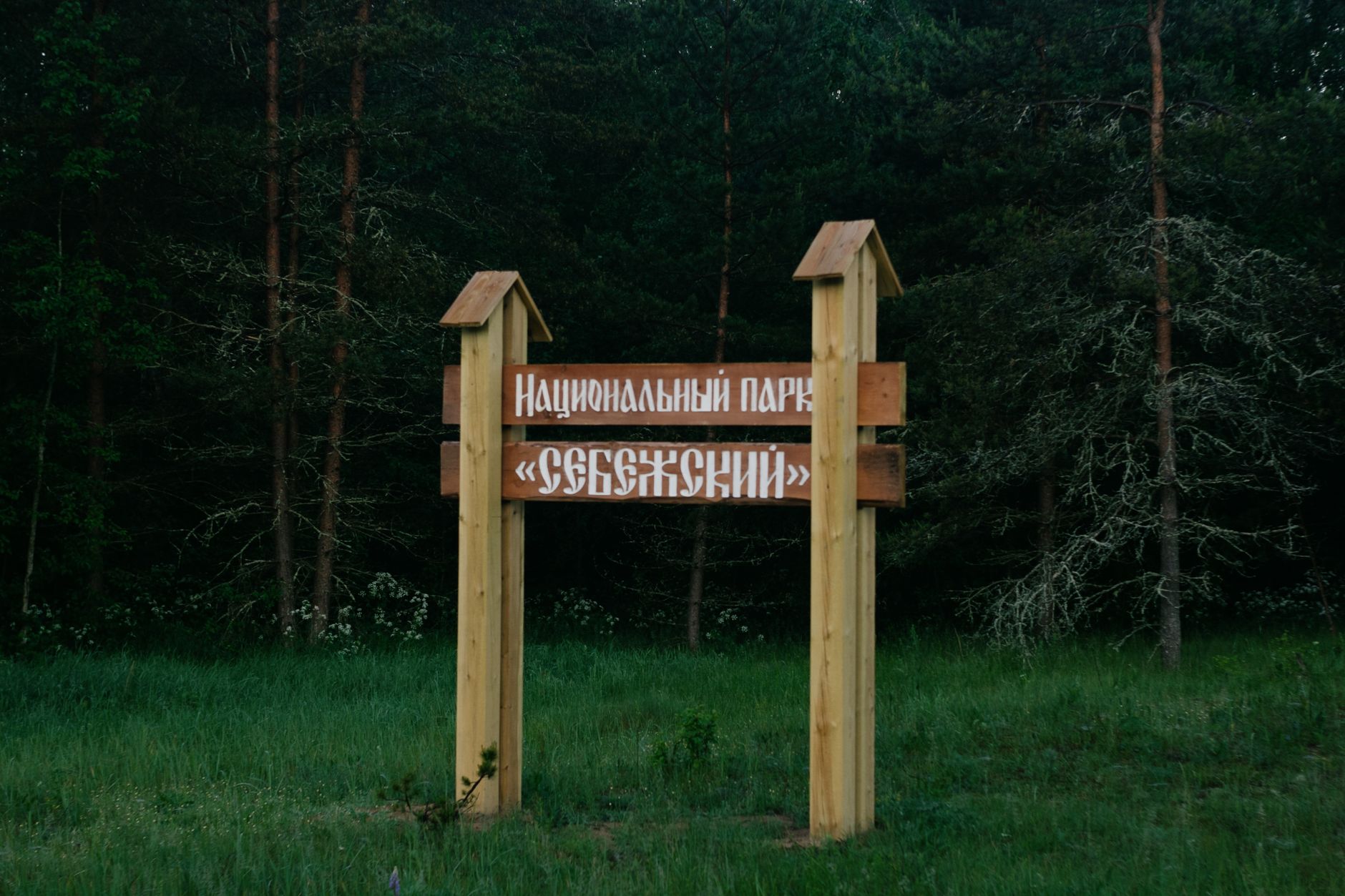 Anti-odiseea lui Sabin Rusu: o poveste captivantă în 2023