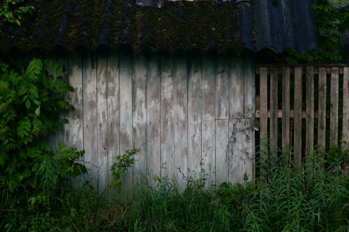 Foto profissional grátis de abandonado, celeiro, cerca